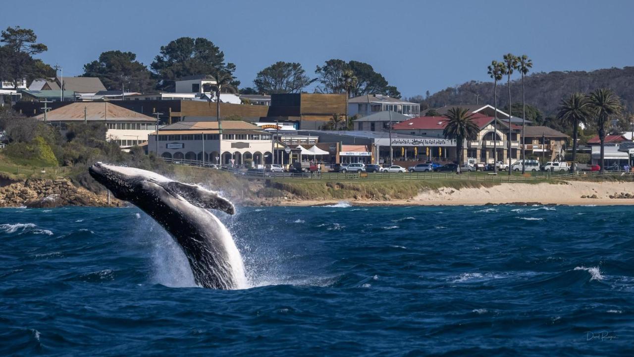Bermagui Beach Hotel Εξωτερικό φωτογραφία